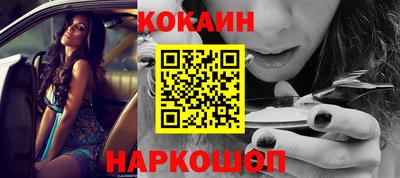 сатива Будённовск