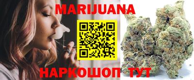 сатива Будённовск