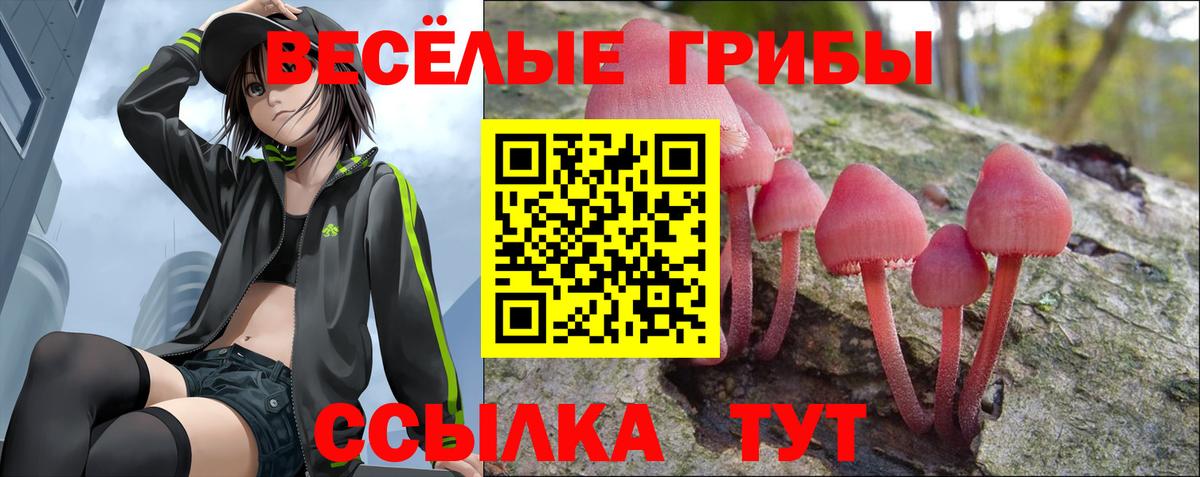Псилоцибиновые грибы ЛСД Минеральные Воды
